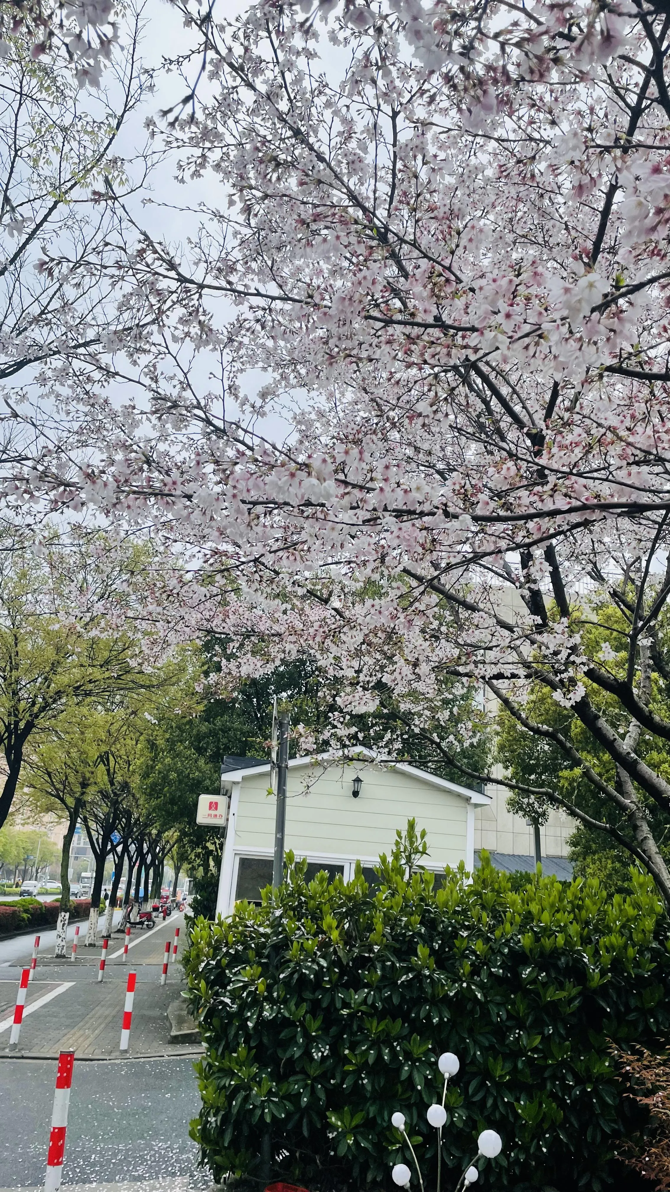 2023_03_30_11_49_IMG_4950_ilogs_cn_