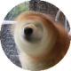 彬红茶日记