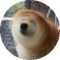 茶备案